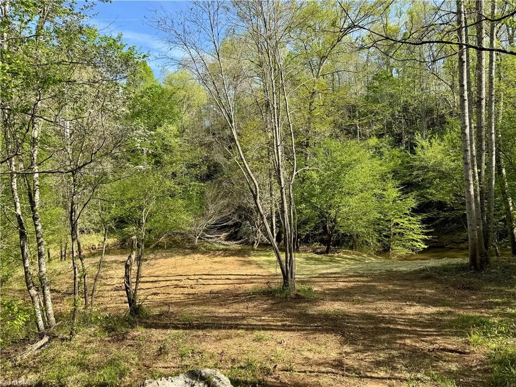 Unimproved Land at 0 Otis Woods Road, Danbury NC 27046, photo 8 of 47