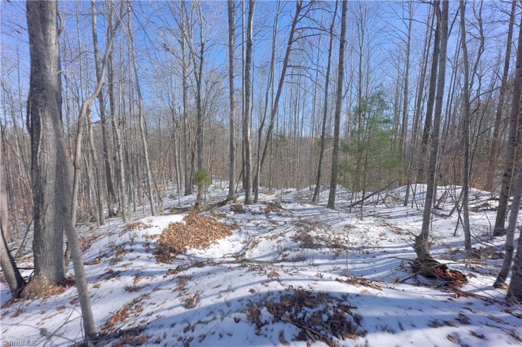 Unimproved Land at 0 Otis Woods Road, Danbury NC 27046, photo 25 of 47