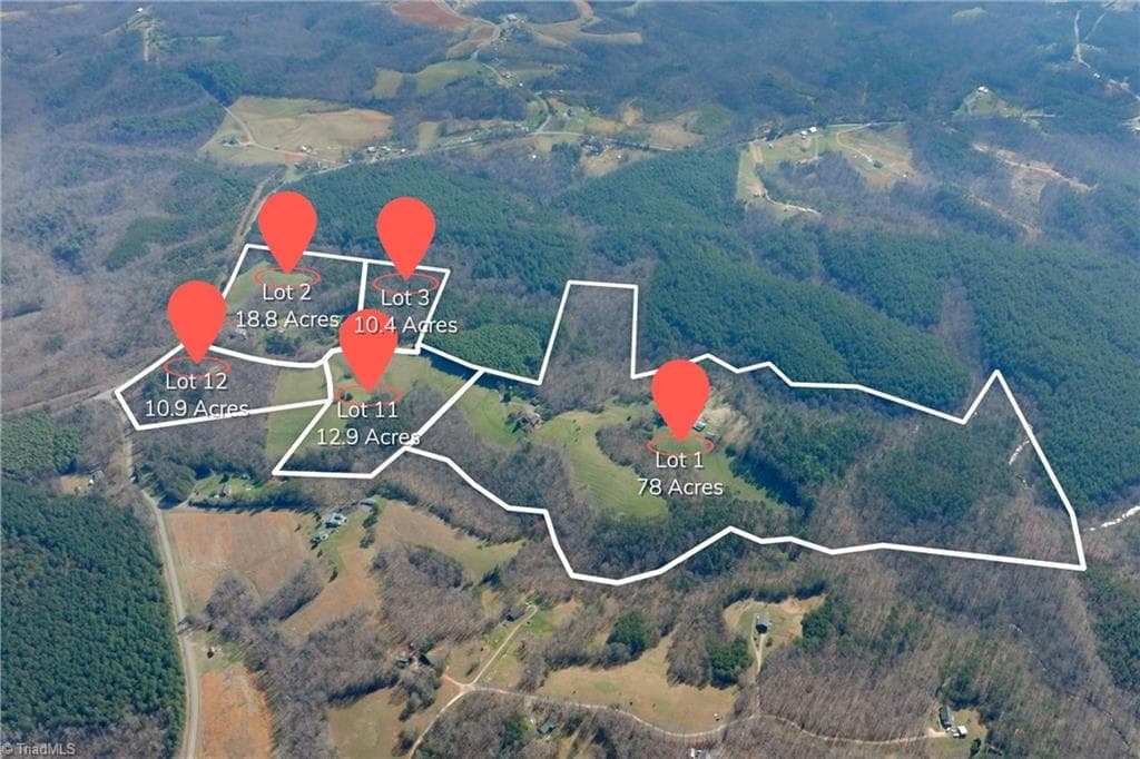 Unimproved Land at 1019-12 George Road, Westfield NC 27053, photo 17 of 22