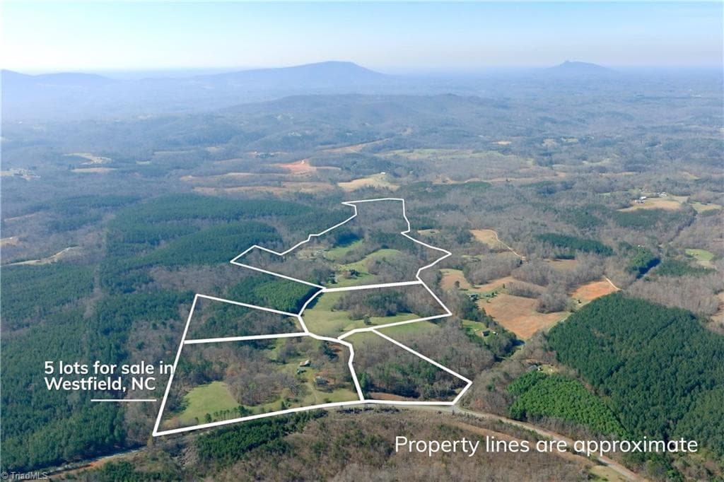 Unimproved Land at 1019-12 George Road, Westfield NC 27053, photo 16 of 22