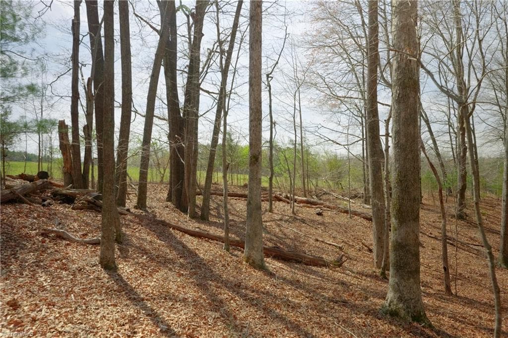 Unimproved Land at 1019-12 George Road, Westfield NC 27053, photo 9 of 22