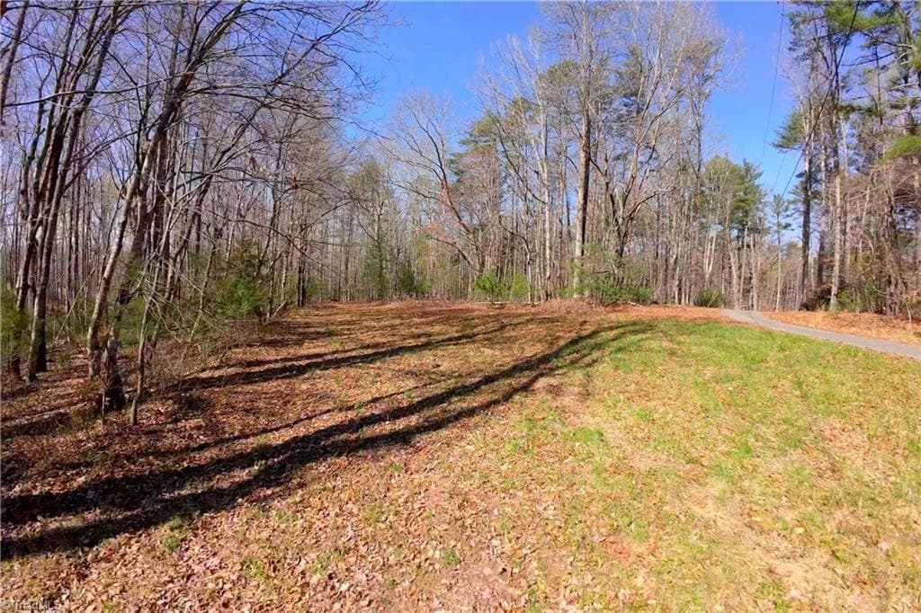 Unimproved Land at 1019-12 George Road, Westfield NC 27053, photo 10 of 22