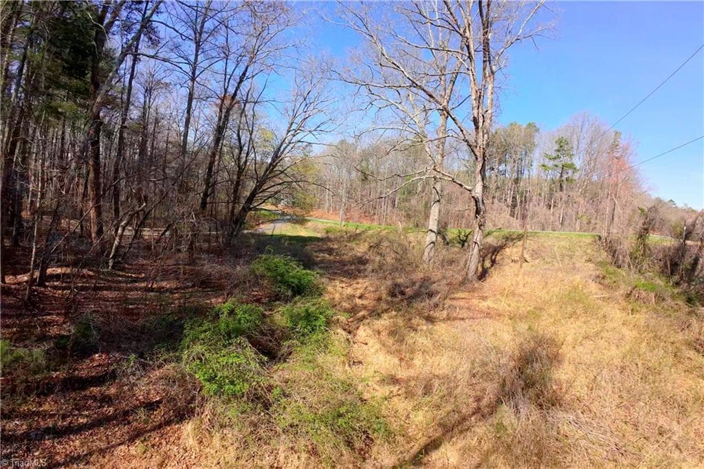 Unimproved Land at 1019-12 George Road, Westfield NC 27053, photo 14 of 22