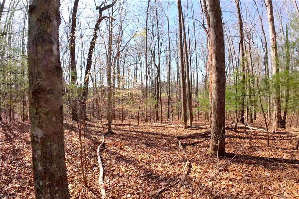 Unimproved Land at 1019-12 George Road, Westfield NC 27053, photo 11 of 22