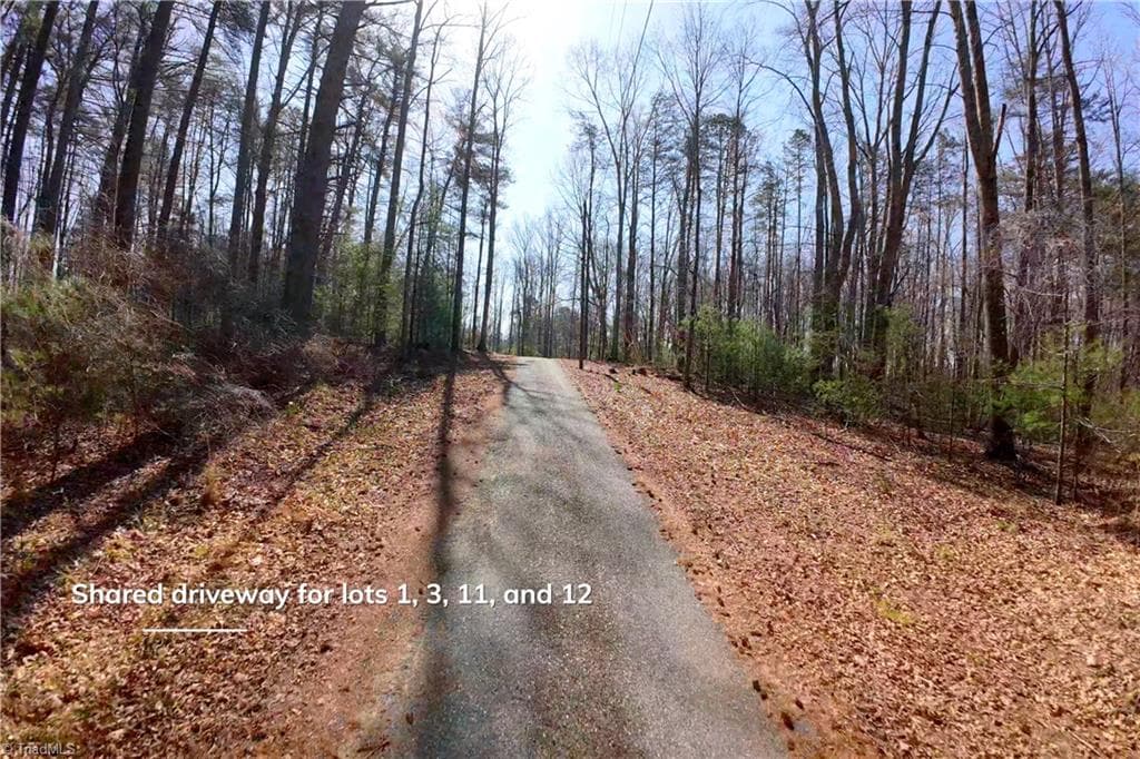 Unimproved Land at 1019-12 George Road, Westfield NC 27053, photo 19 of 22