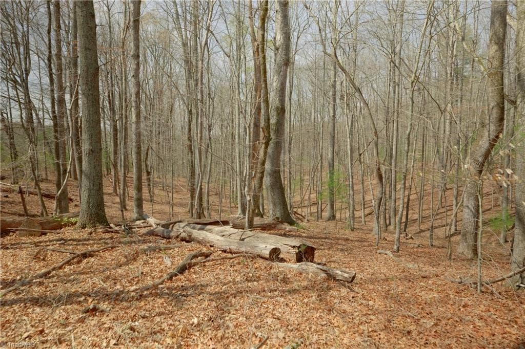 Unimproved Land at 1019-12 George Road, Westfield NC 27053, photo 8 of 22