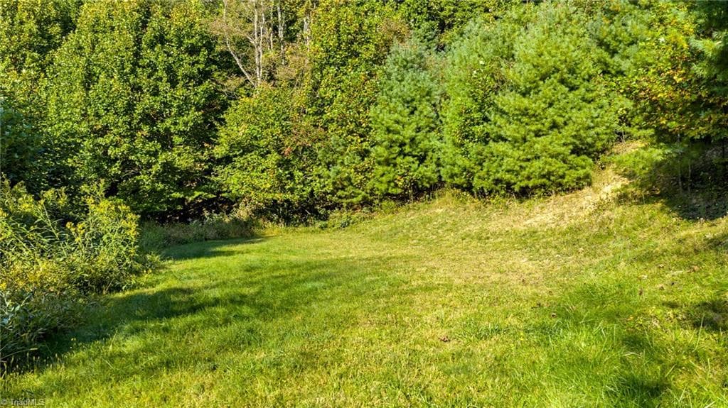 Unimproved Land at TBD Mulatto Mountain Road, West Jefferson NC 28694, photo 6 of 14