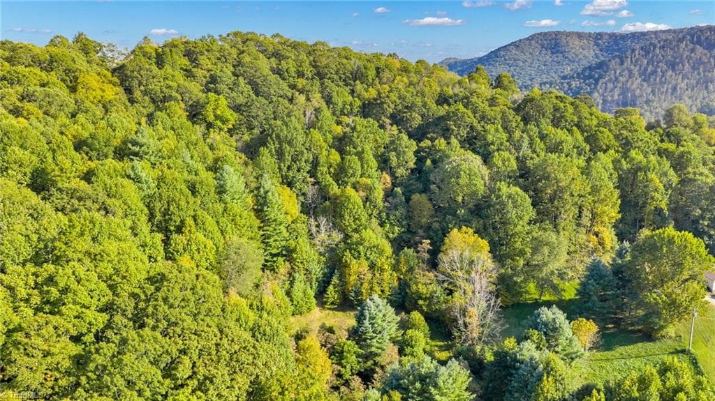 Unimproved Land at TBD Mulatto Mountain Road, West Jefferson NC 28694, photo 12 of 14