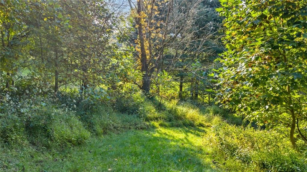 Unimproved Land at TBD Mulatto Mountain Road, West Jefferson NC 28694, photo 5 of 14