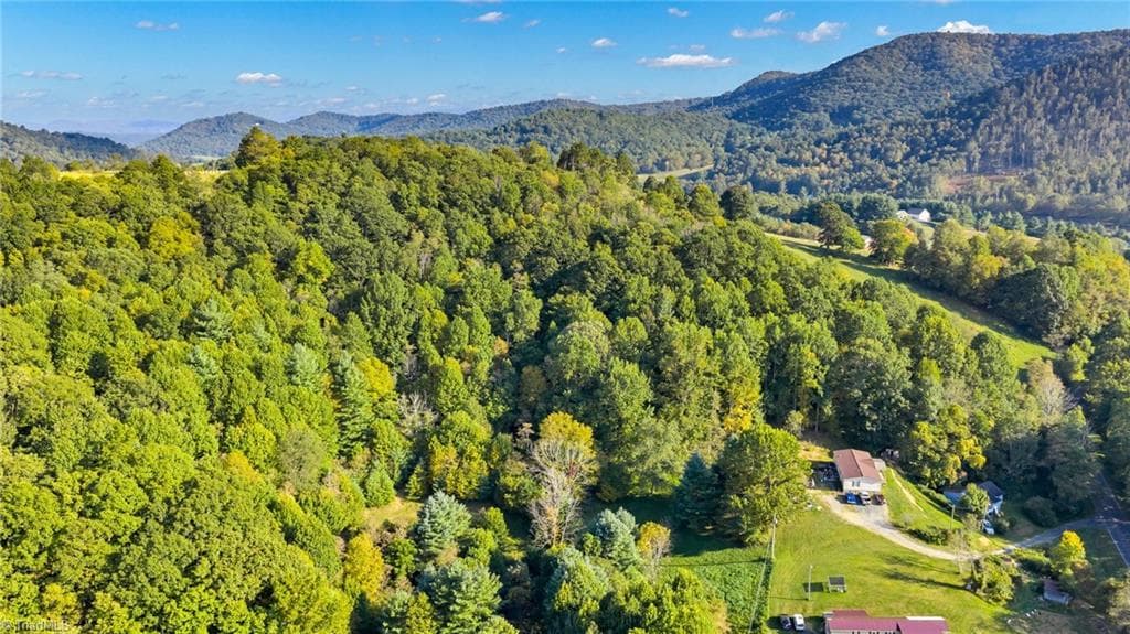 Unimproved Land at TBD Mulatto Mountain Road, West Jefferson NC 28694, photo 11 of 14