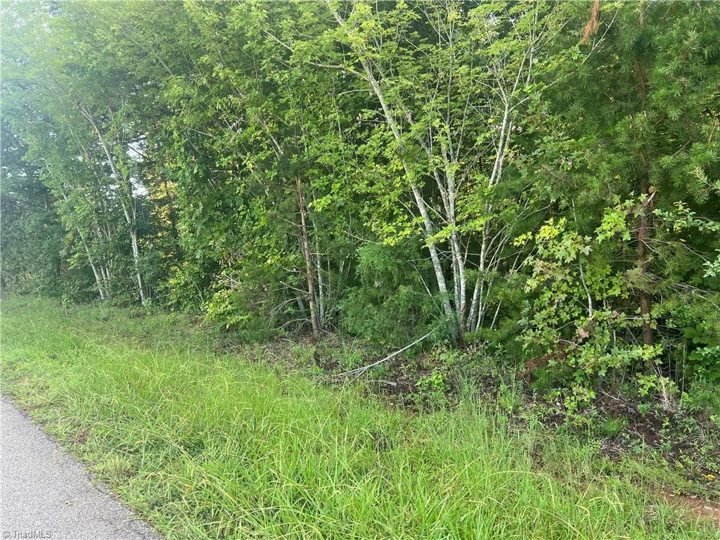 6208 Cape Wedgewood Circle, Browns Summit NC 27214