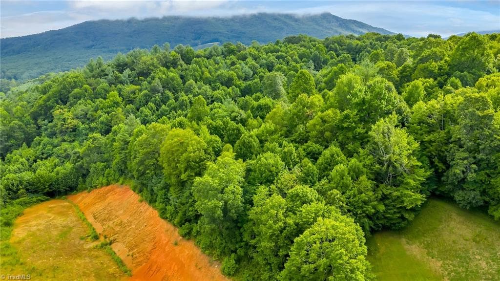 Unimproved Land at TBD US Highway 221, Jefferson NC 28640, photo 3 of 9
