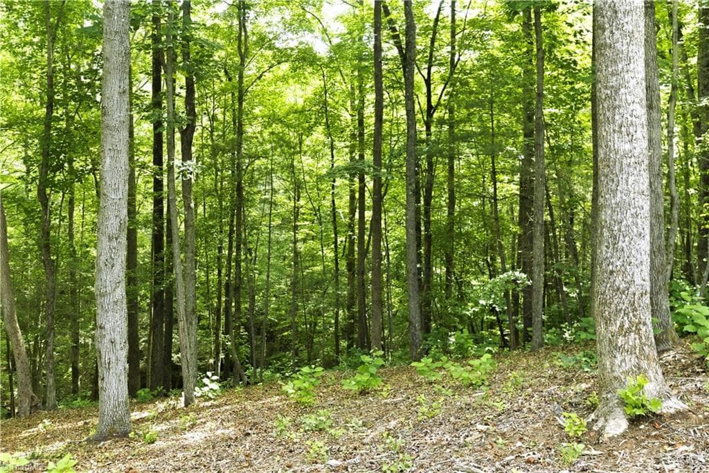 Unimproved Land at 000 Burberry Drive # 19, Purlear NC 28665, photo 7 of 36
