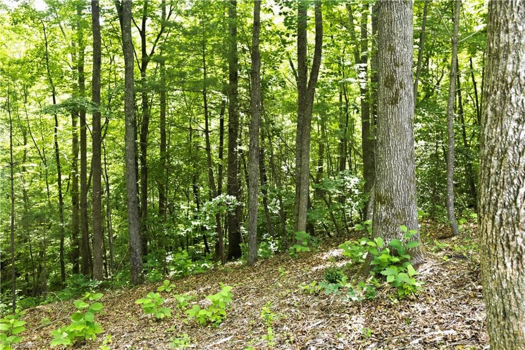 Unimproved Land at 000 Burberry Drive # 19, Purlear NC 28665, photo 36 of 36