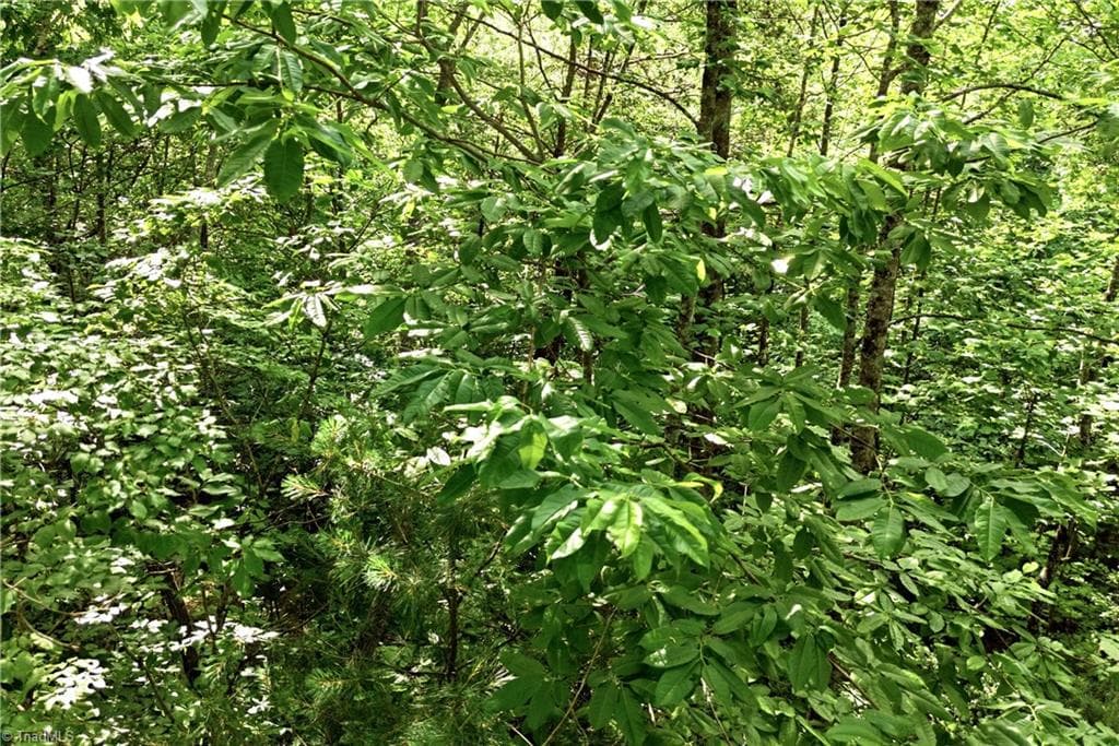 Unimproved Land at 000 Burberry Drive # 19, Purlear NC 28665, photo 28 of 36
