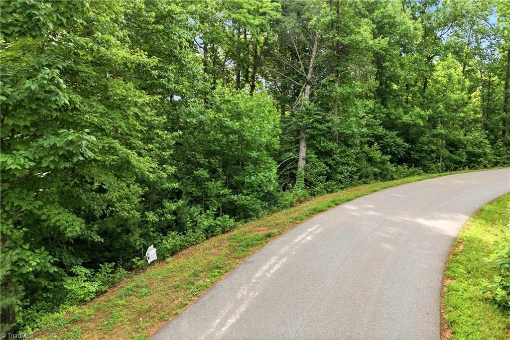 Unimproved Land at 000 Burberry Drive # 19, Purlear NC 28665, photo 9 of 36