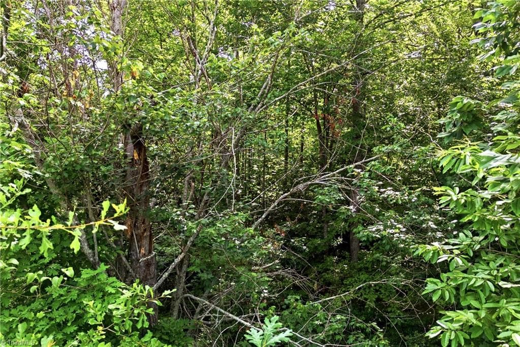 Unimproved Land at 000 Burberry Drive # 19, Purlear NC 28665, photo 33 of 36