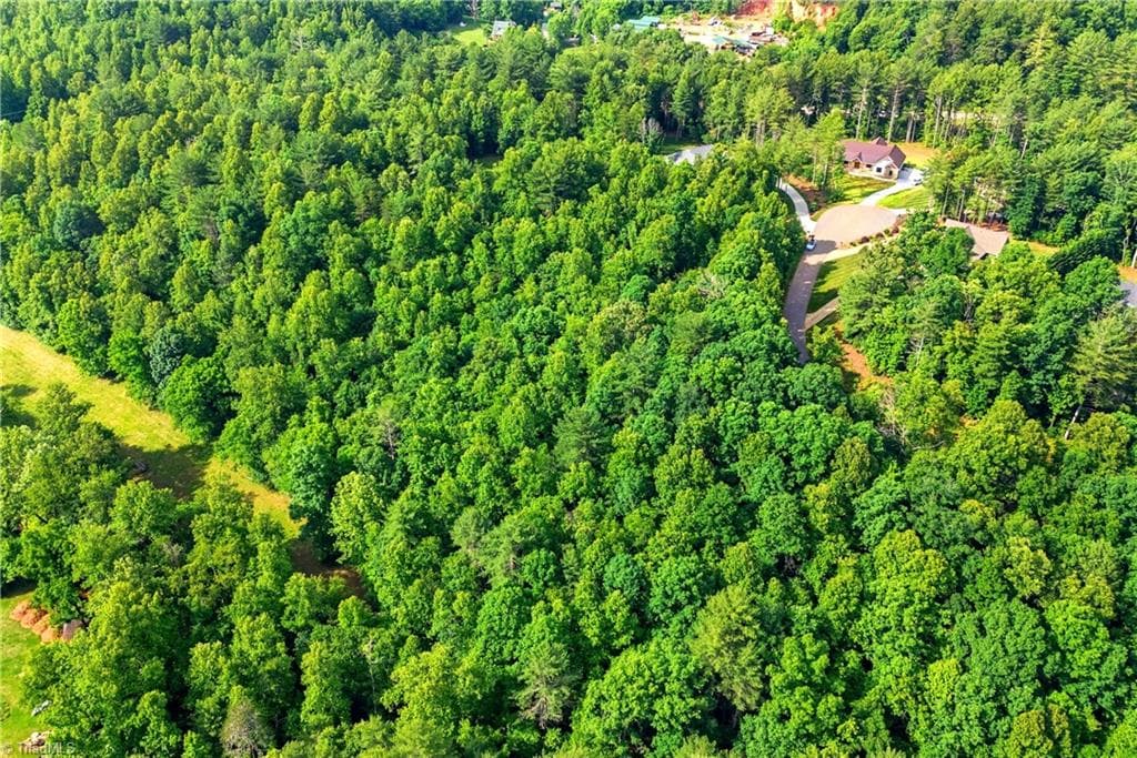 Unimproved Land at 000 Burberry Drive # 19, Purlear NC 28665, photo 14 of 36