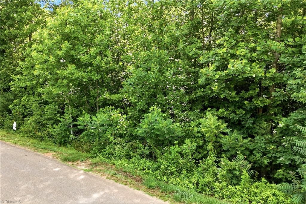 Unimproved Land at 000 Burberry Drive # 19, Purlear NC 28665, photo 18 of 36