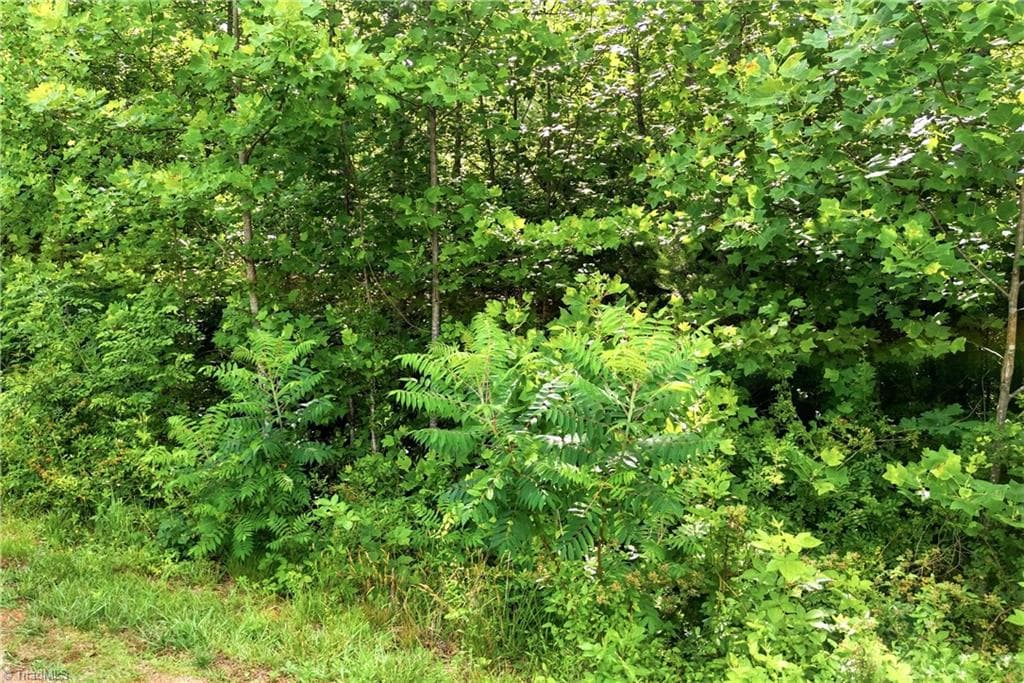 Unimproved Land at 000 Burberry Drive # 19, Purlear NC 28665, photo 19 of 36