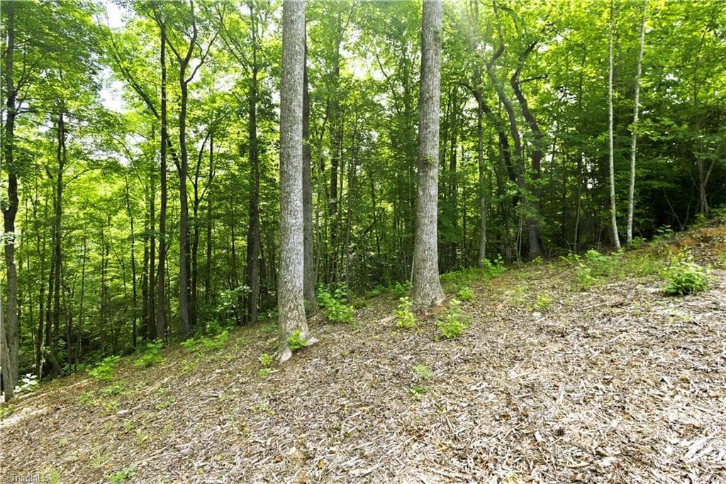 Unimproved Land at 000 Burberry Drive # 19, Purlear NC 28665, photo 35 of 36