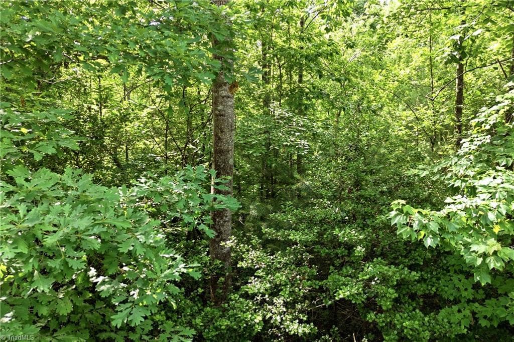 Unimproved Land at 000 Burberry Drive # 19, Purlear NC 28665, photo 31 of 36