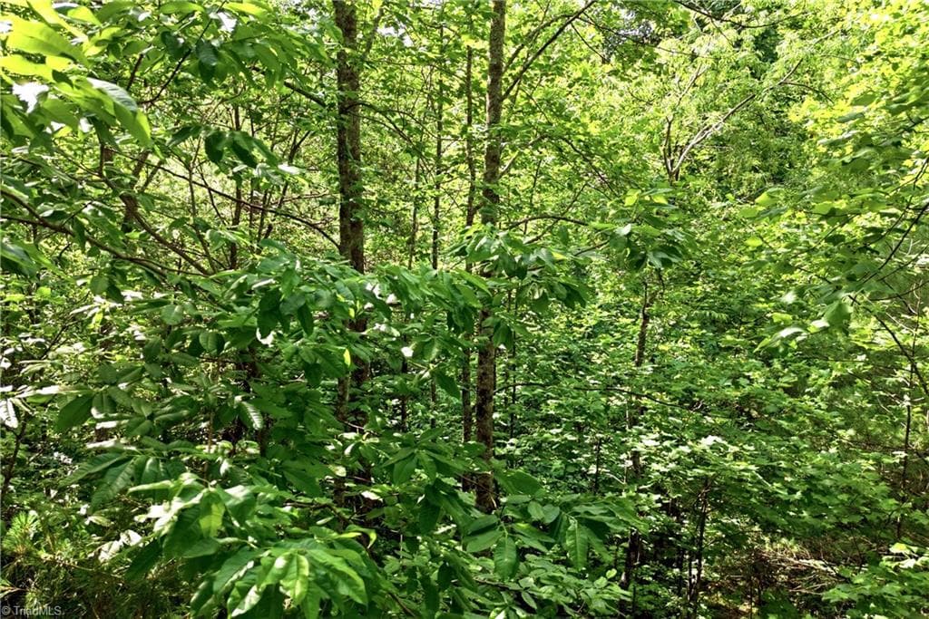Unimproved Land at 000 Burberry Drive # 19, Purlear NC 28665, photo 29 of 36
