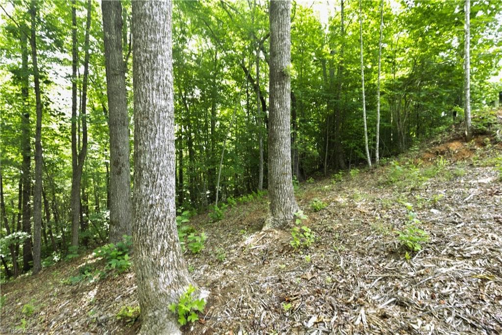 Unimproved Land at 000 Burberry Drive # 19, Purlear NC 28665, photo 8 of 36