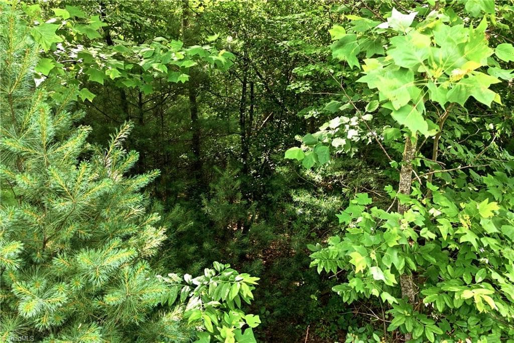 Unimproved Land at 000 Burberry Drive # 19, Purlear NC 28665, photo 25 of 36