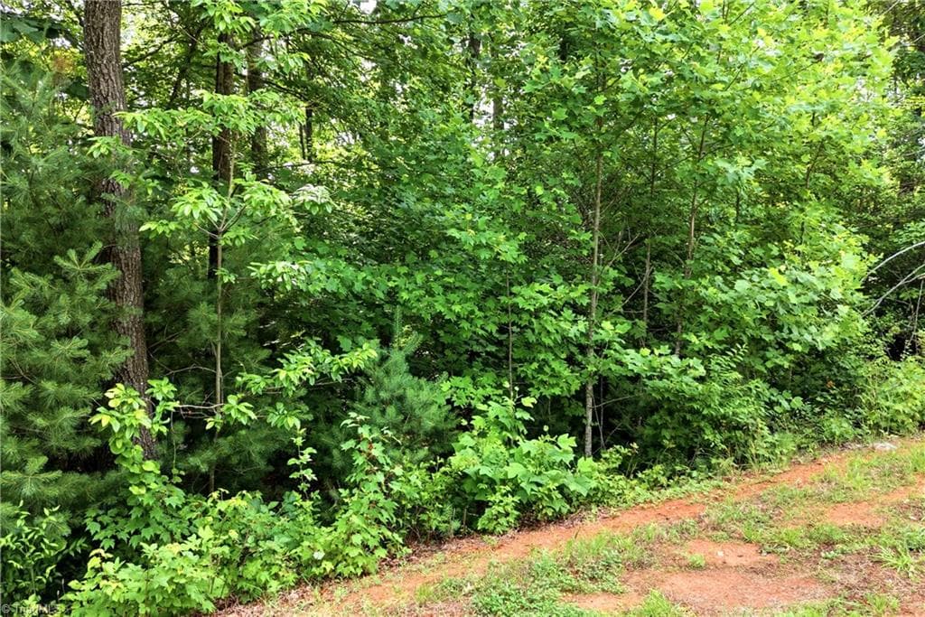 Unimproved Land at 000 Burberry Drive # 19, Purlear NC 28665, photo 21 of 36