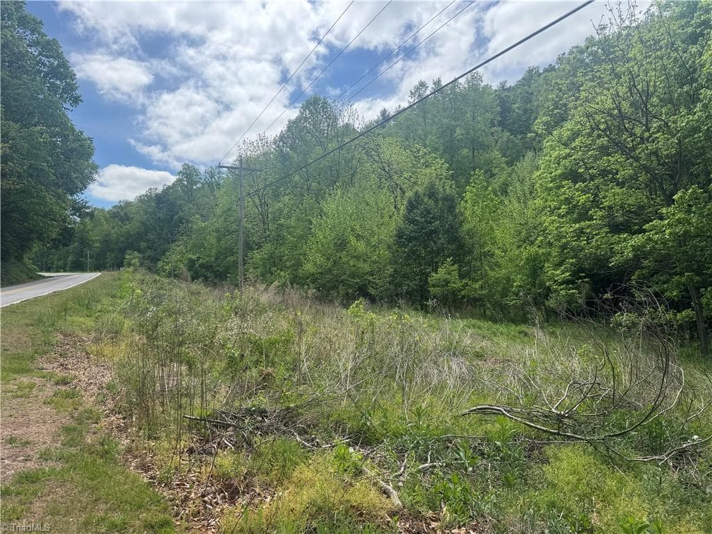 Unimproved Land at 000 Old 60, Wilkesboro NC 28697, photo 2 of 10