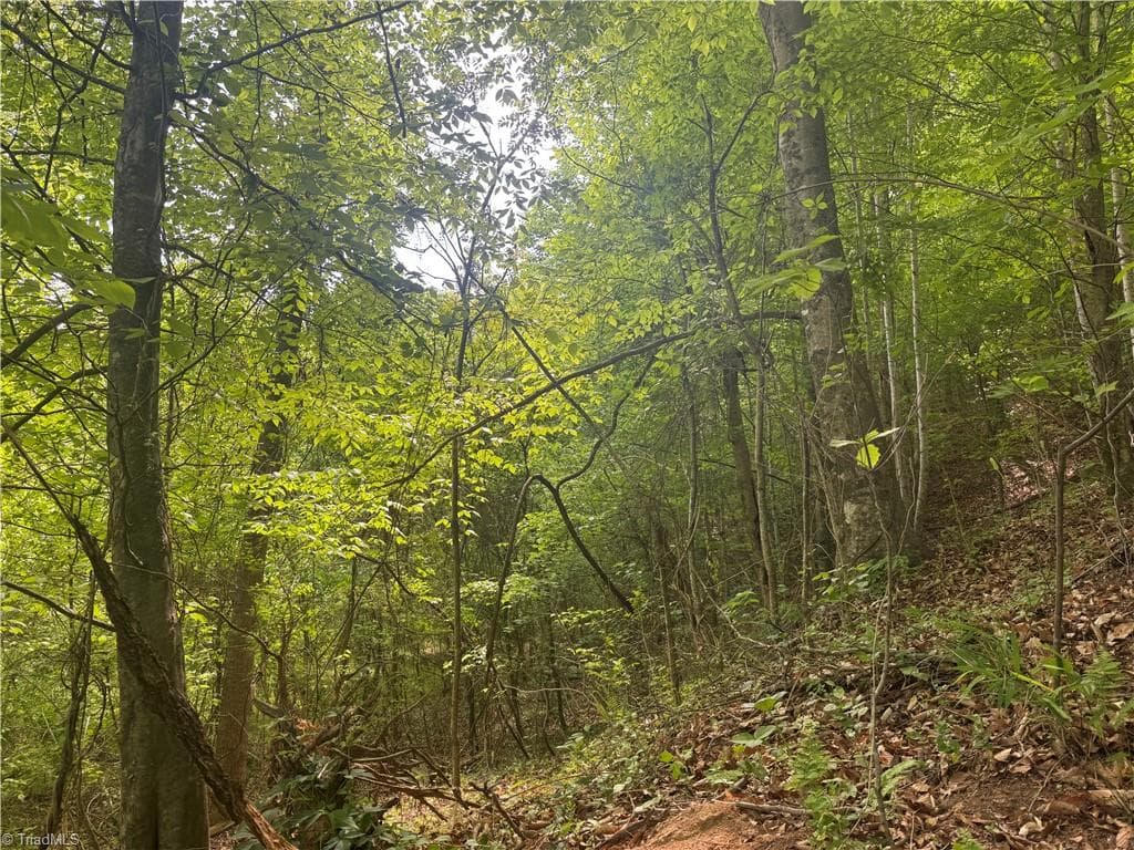 Unimproved Land at 000 Old 60, Wilkesboro NC 28697, photo 6 of 10