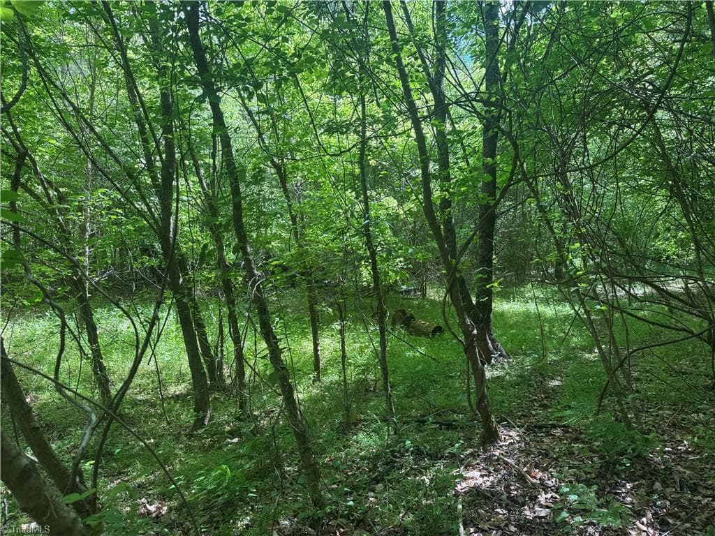 Unimproved Land at 000 Old 60, Wilkesboro NC 28697, photo 7 of 10