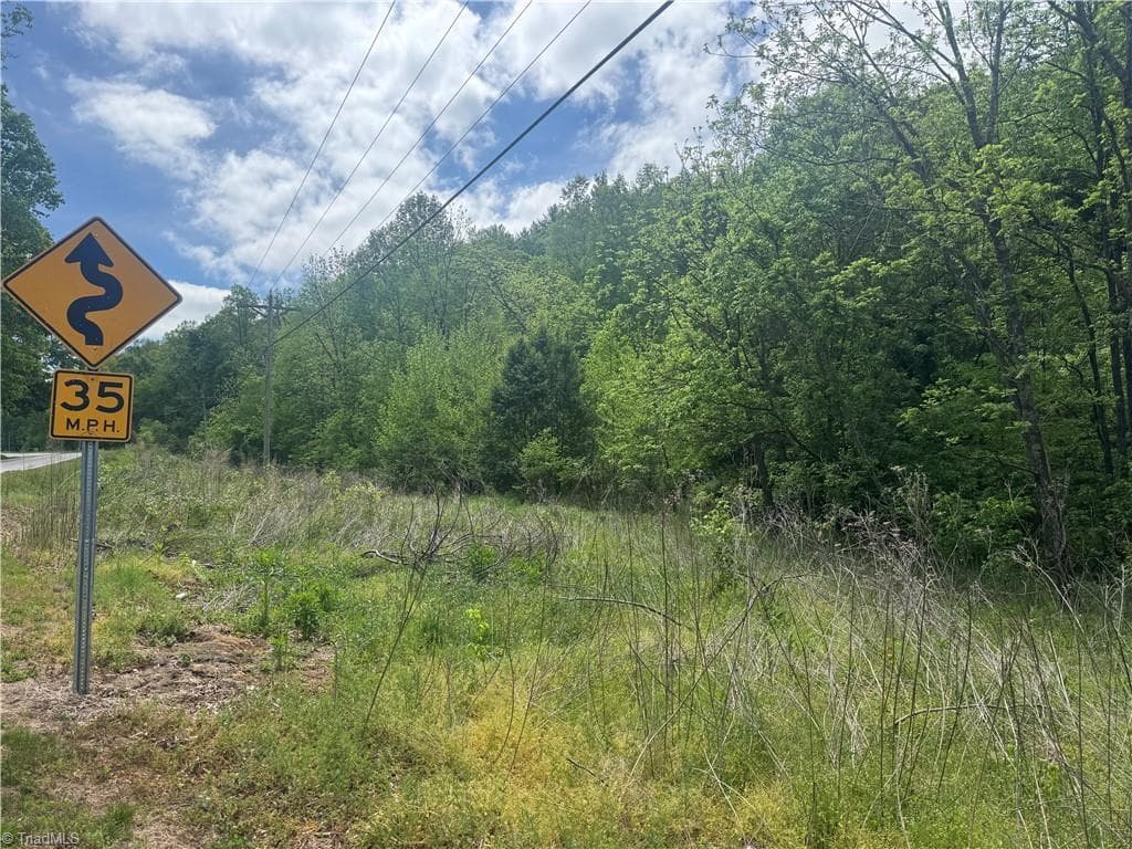 Unimproved Land at 000 Old 60, Wilkesboro NC 28697, photo 3 of 10