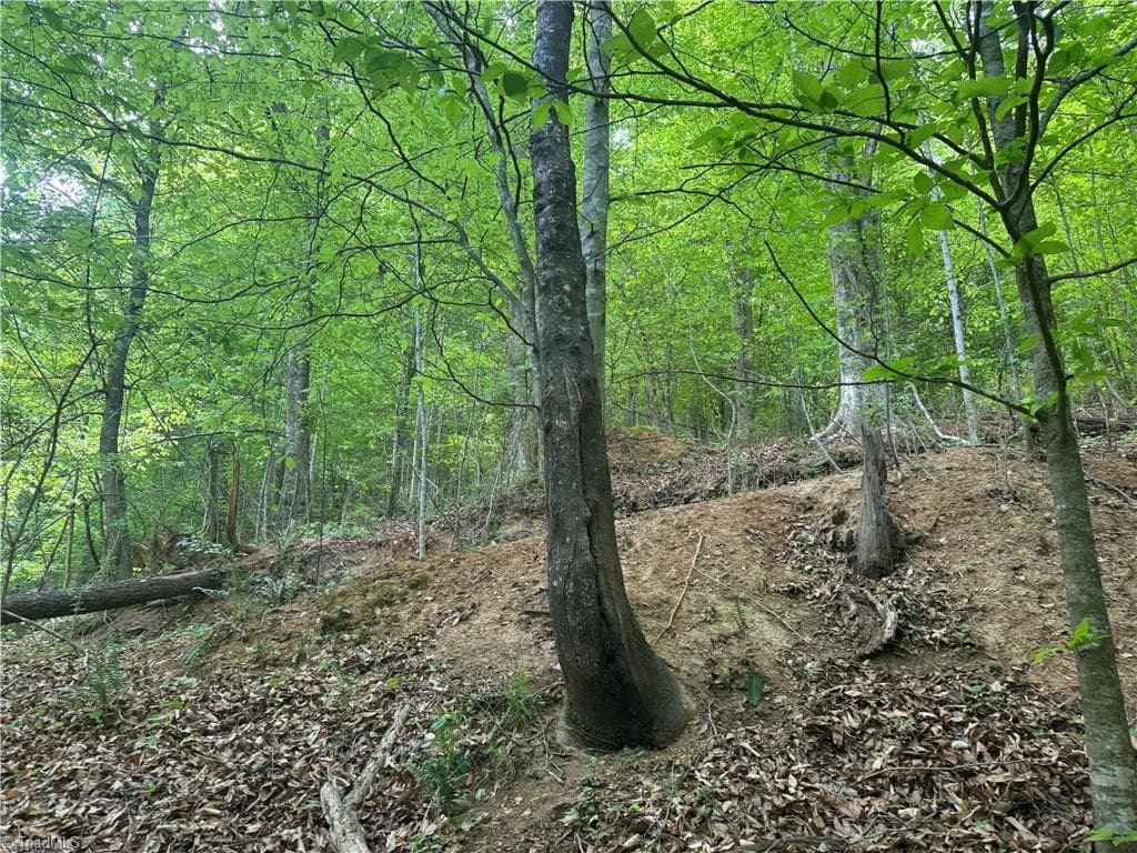 Unimproved Land at 000 Old 60, Wilkesboro NC 28697, photo 5 of 10