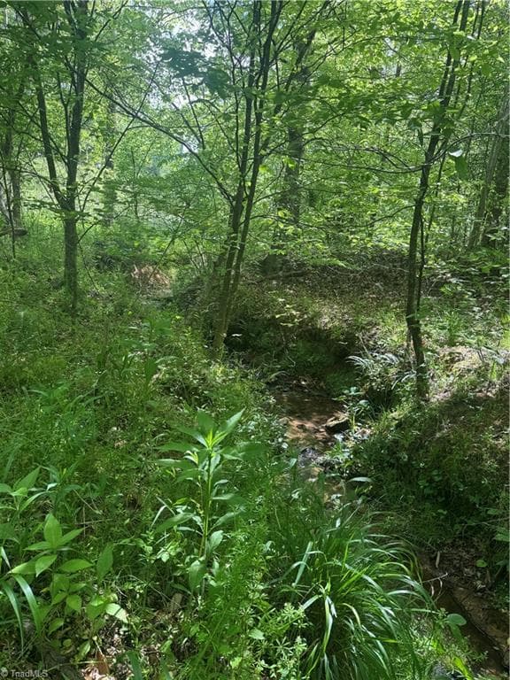 Unimproved Land at 000 Old 60, Wilkesboro NC 28697, photo 9 of 10