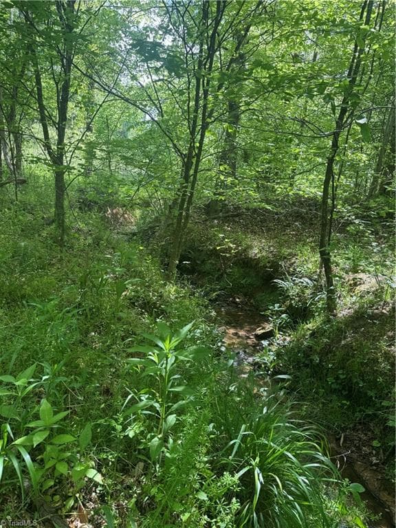Unimproved Land at 000 Old 60, Wilkesboro NC 28697, photo 10 of 10