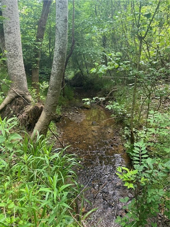 Unimproved Land at 000 Old 60, Wilkesboro NC 28697, photo 4 of 10