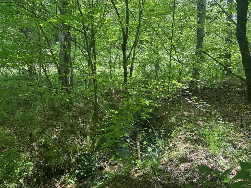 Unimproved Land at 000 Old 60, Wilkesboro NC 28697, photo 8 of 10