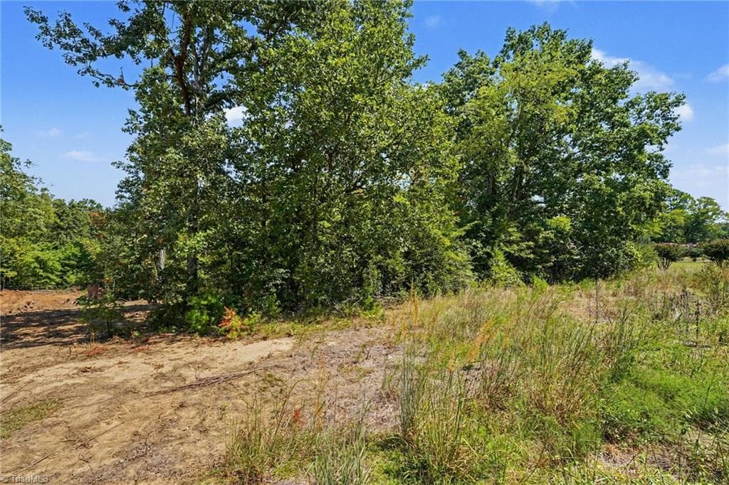 Single Family Residence at 00 Price Road, Eden NC 27288, Eden, photo 5 of 26