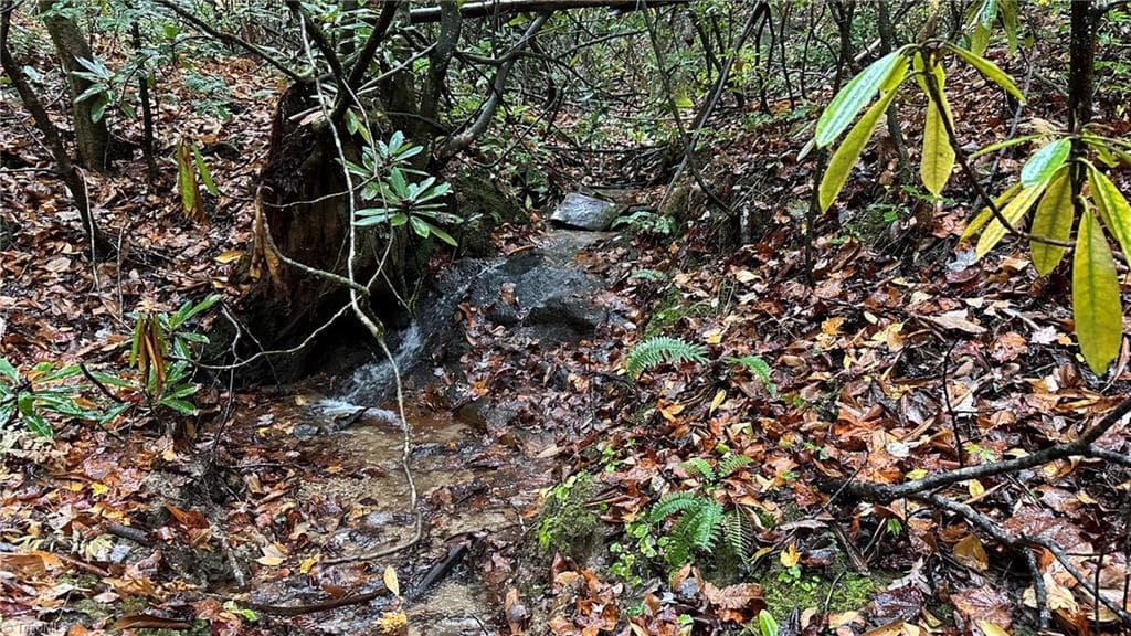 Unimproved Land at 000 White Rock Road, Lenoir NC 28645, Lenoir, photo 5 of 10