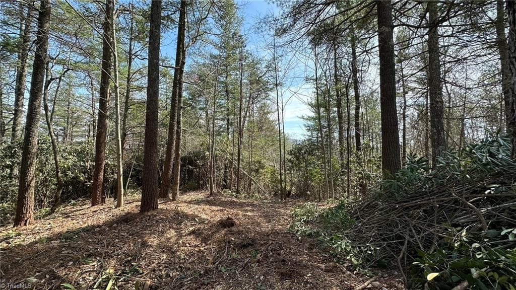 Unimproved Land at 000 White Rock Road, Lenoir NC 28645, Lenoir, photo 9 of 10