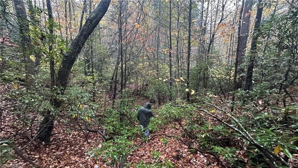 Unimproved Land at 000 White Rock Road, Lenoir NC 28645, Lenoir, photo 8 of 10