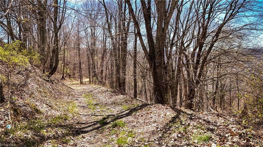 Unimproved Land at 7277 Beech Mountain Road, Beech Mountain NC 28622, photo 7 of 25