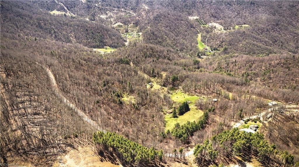 Unimproved Land at 7277 Beech Mountain Road, Beech Mountain NC 28622, photo 5 of 25