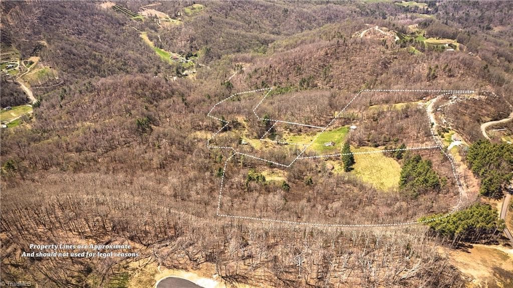 Unimproved Land at 7277 Beech Mountain Road, Beech Mountain NC 28622, photo 4 of 25