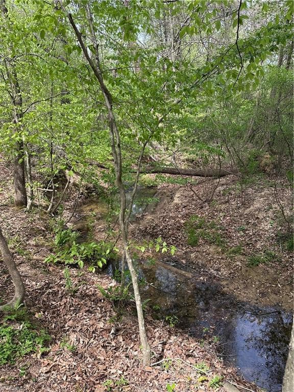 Unimproved Land at 0 Will Boone Road, Mocksville NC 27028, photo 2 of 2