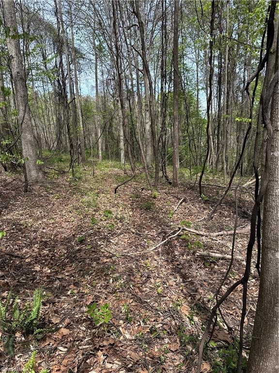 0 Will Boone Road, Mocksville NC 27028