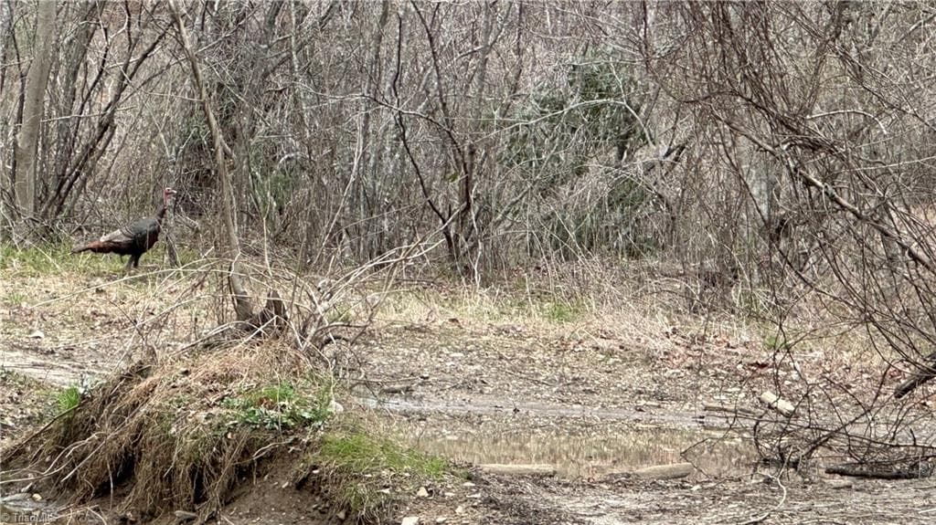 Unimproved Land at TBD Darnell Creek Road, Millers Creek NC 28651, photo 27 of 40