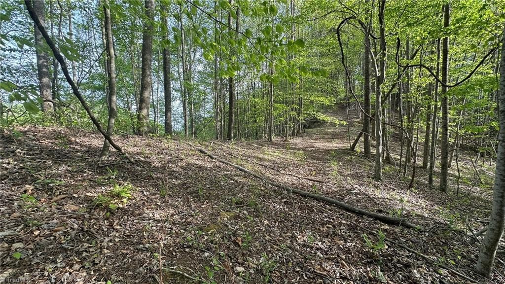 Unimproved Land at TBD Darnell Creek Road, Millers Creek NC 28651, photo 6 of 40